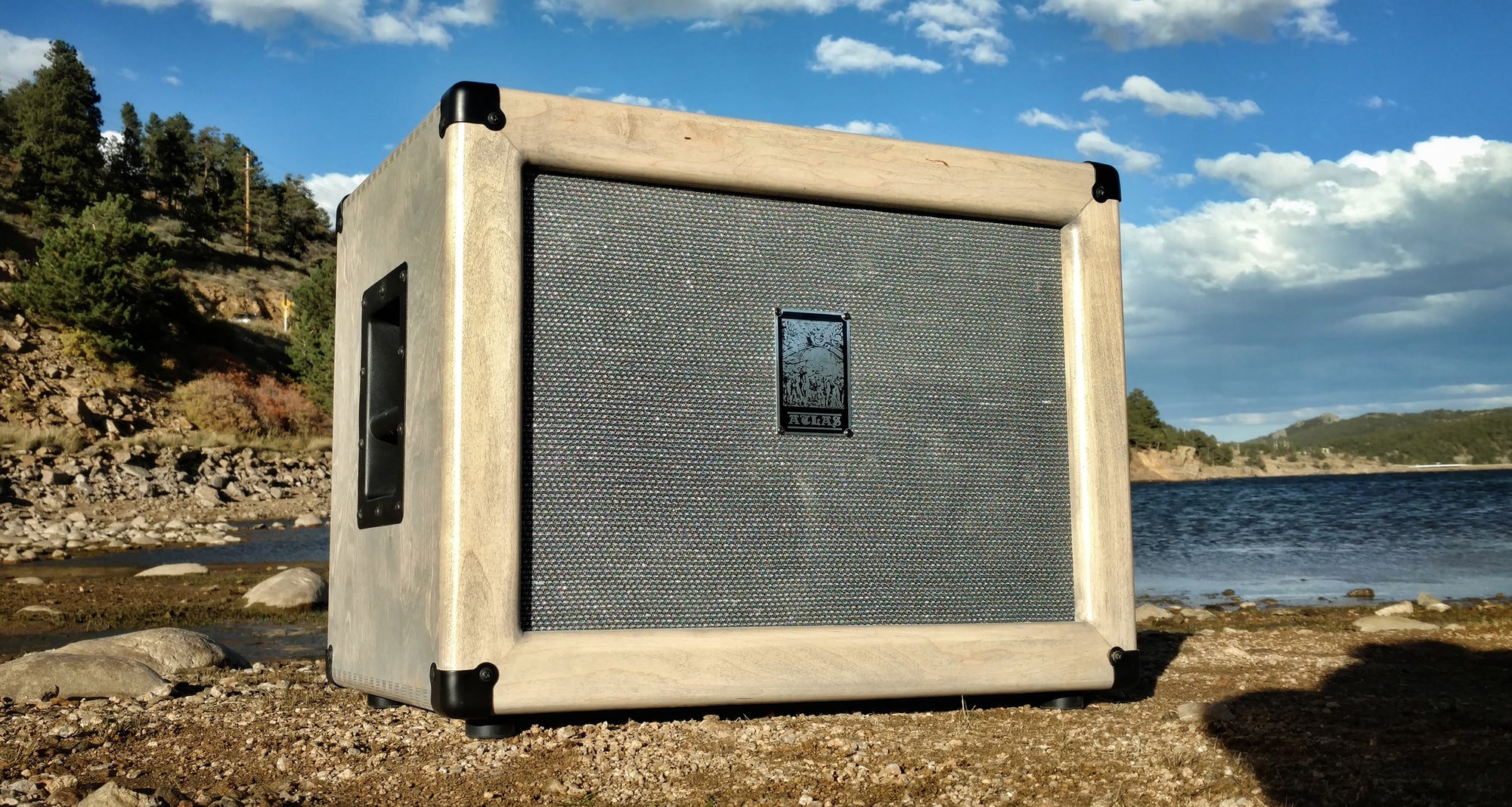Bass Two Ten Cabinet